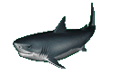 Uživatelský avatar